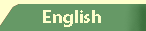Return back to homepage in English